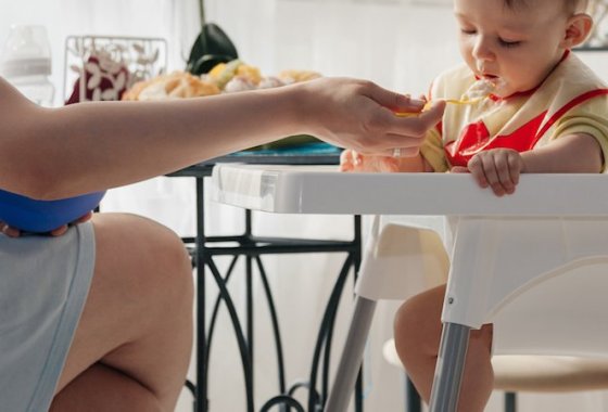 Best High Chairs
