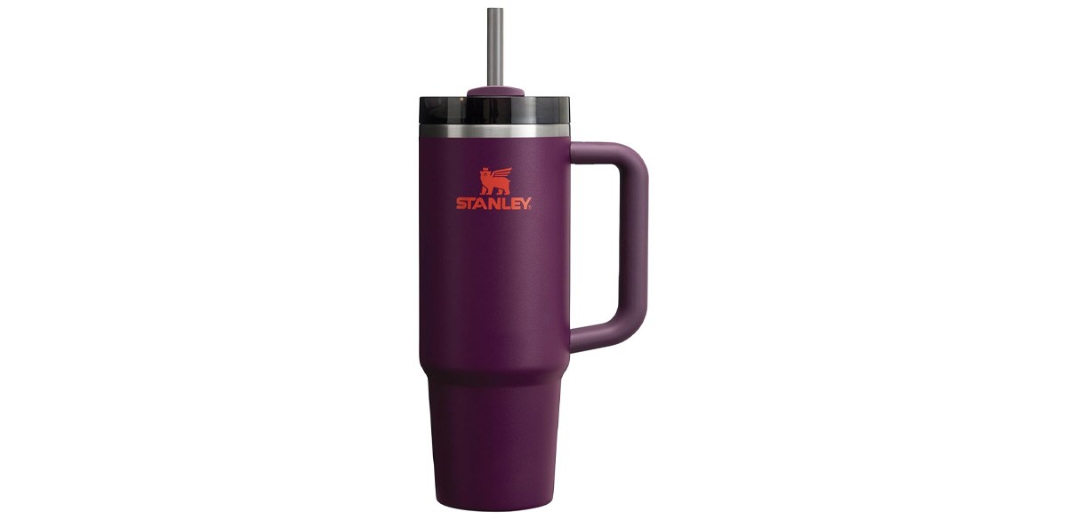 Stanley Quencher H2.0 Tumbler with Handle and Straw 30 oz in Plum Stanley Quencher H2.0 Tumbler with Handle and Straw 30 oz in Plum