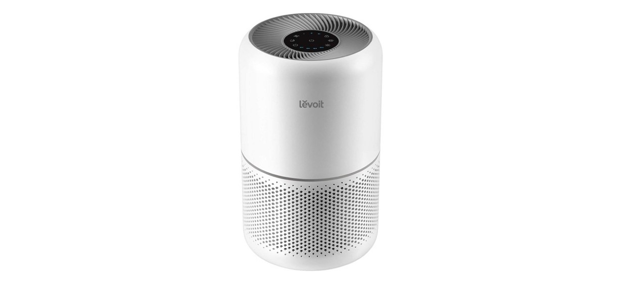 Best Levoit Air Purifier for Home