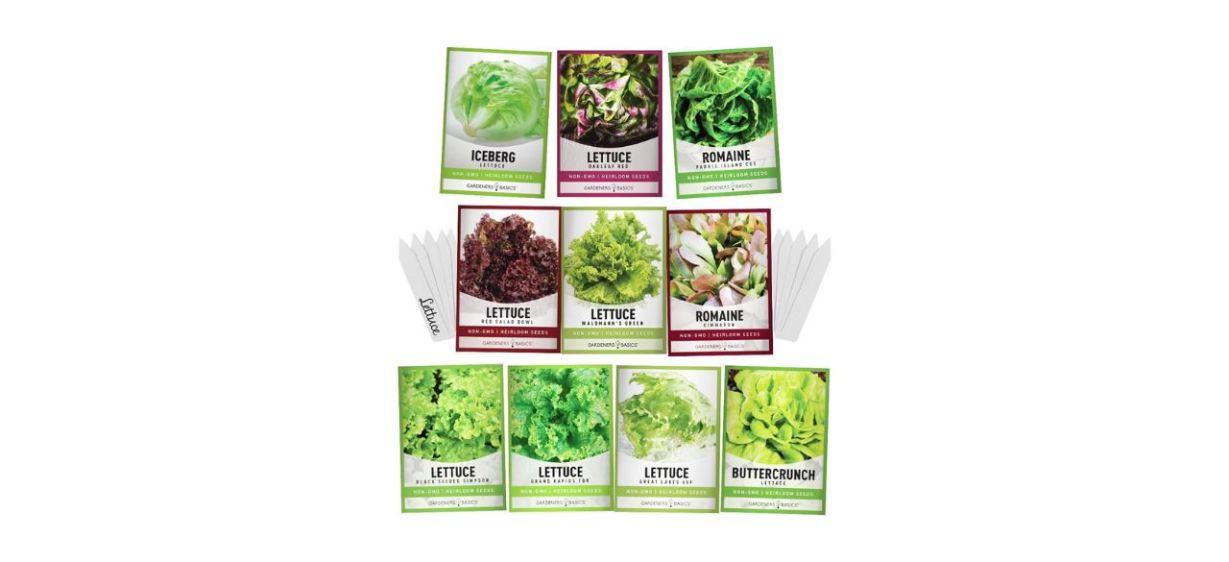 Gardeners Basics 23,000 Salad Greens Heirloom Vegetable Seeds