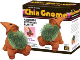 Chia Pet