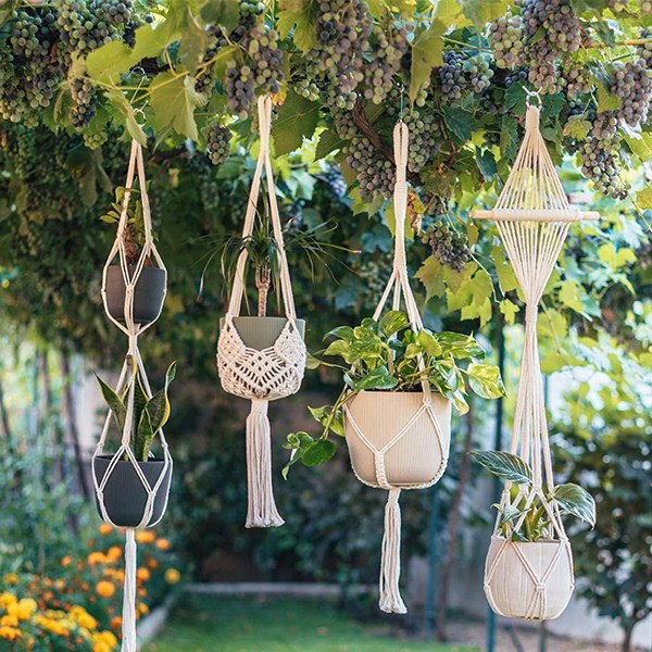 Nook Theory 4-Pack Macrame Plant Hanger