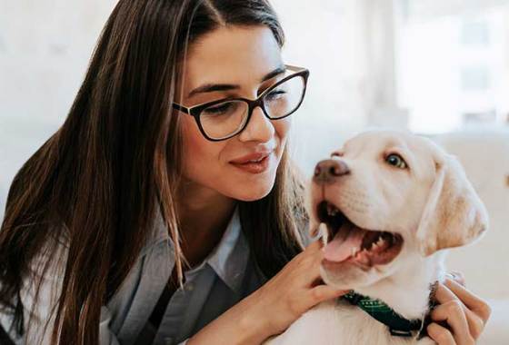 Best Flea Home Sprays