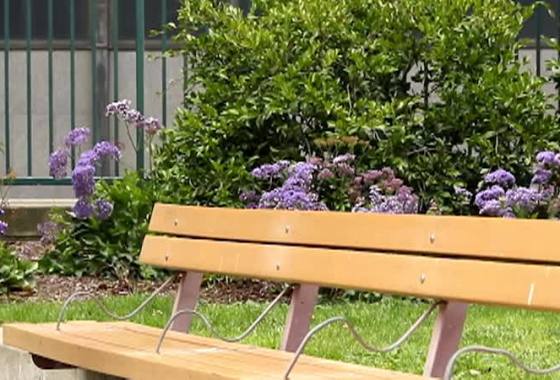 Best Noise Cancelling Headphones