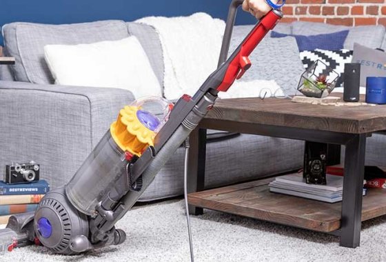 Best Pet Vacuums