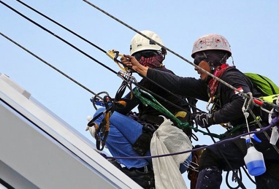 Best Full-Body Safety Harnesses