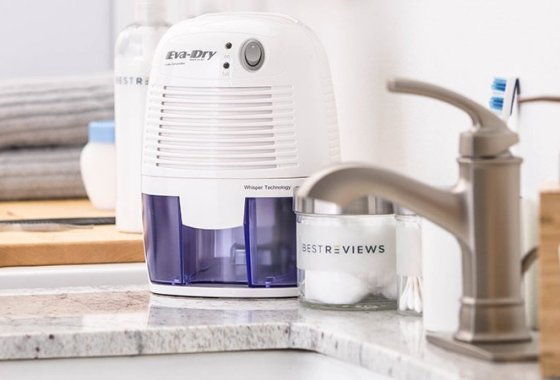 Best Dehumidifiers
