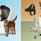Editor-recommended pet products that actually make your life better 