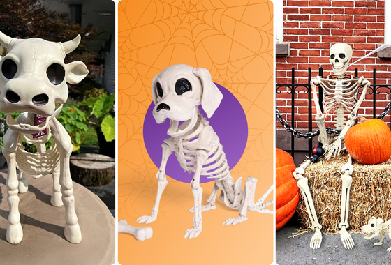 Pro-tip: Get your Halloween skeletons early while they’re still on sale