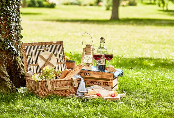 Everything you need for a perfect picnic date