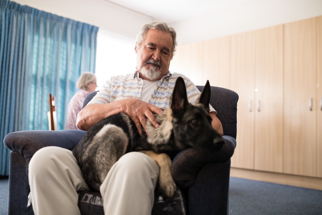 A grey haired man with tidy beard sits in a dark colored recliner with a German Shepherd Dog on his lap. In the background, the carpet on the floor is dark blue, the wall is covered with light wood cabinets, and a lighter blue curtain covers a large, bright window.