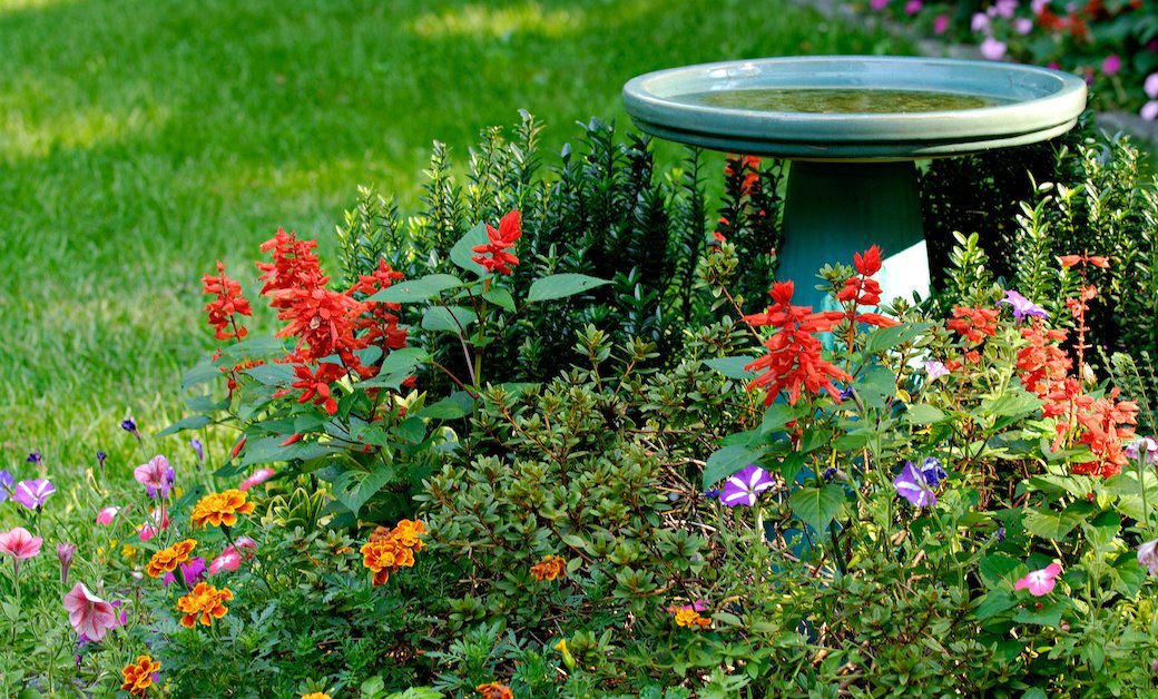 5 Best Bird Baths Jan. 2021 BestReviews