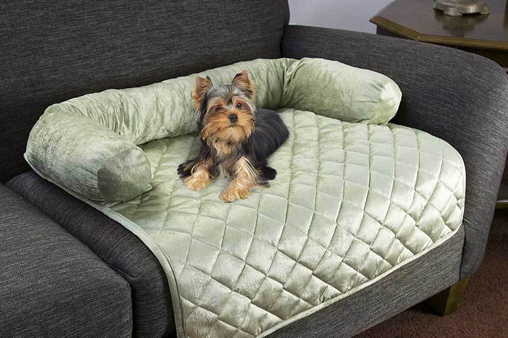 5 Best Pet Furniture Covers July 2020 BestReviews