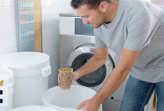 How to store pet food during the summer