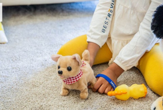 The best Pound Puppy toy