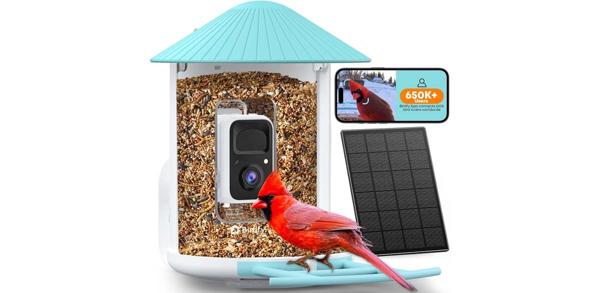NETVUE by Birdfy Smart Bird Feeder