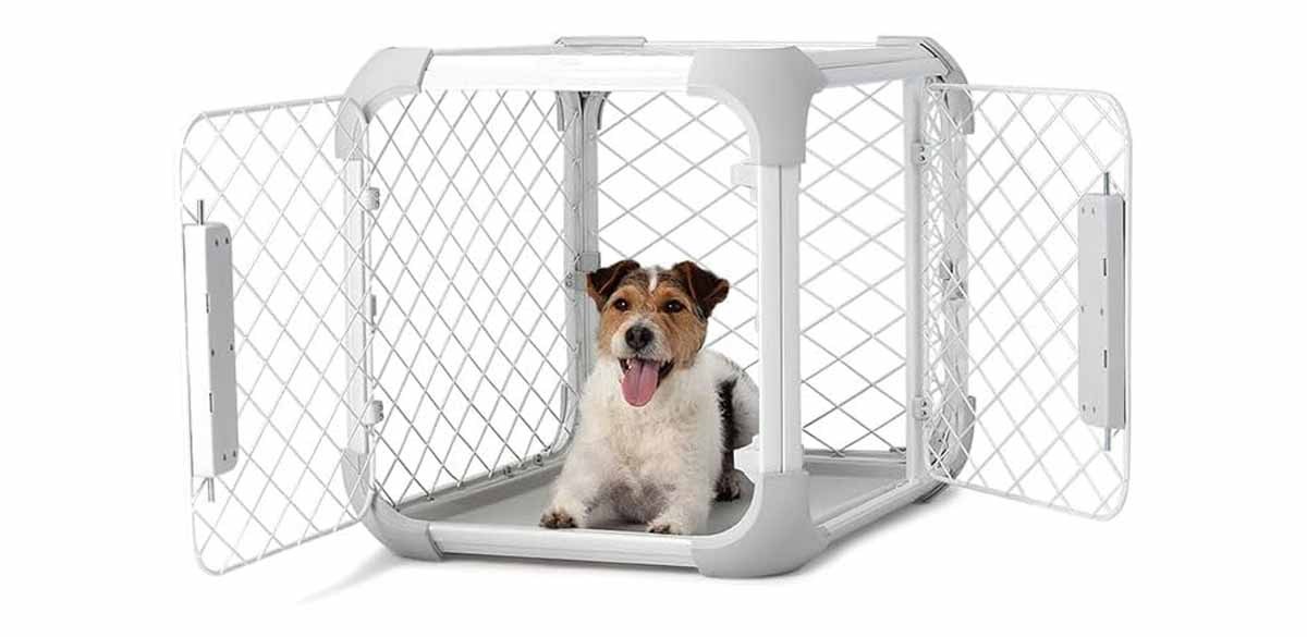 DIGGS Evolv Dog Crate