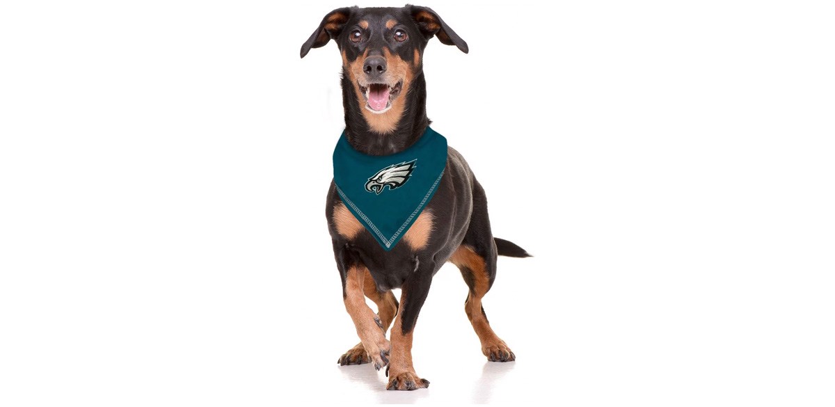 Chewy will give away thousands of free pet treats if the Eagles win the Chewy will give away thousands of free pet treats if the Eagles win the