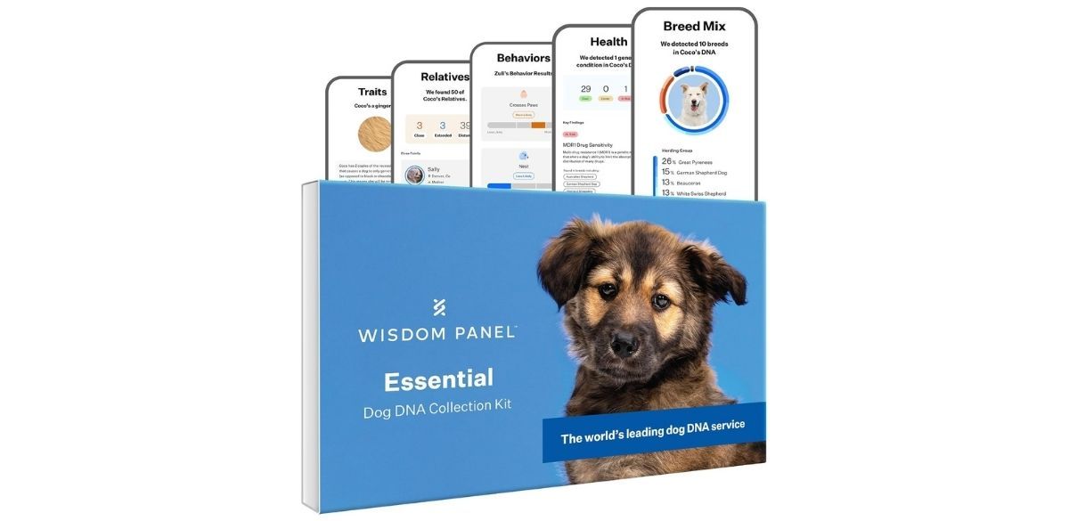 Wisdom Panel Essential Dog DNA Test Kit