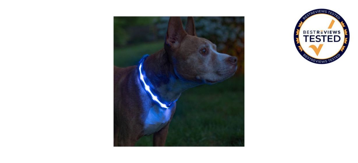 Best Blazin Safety Light-Up LED Dog Collar