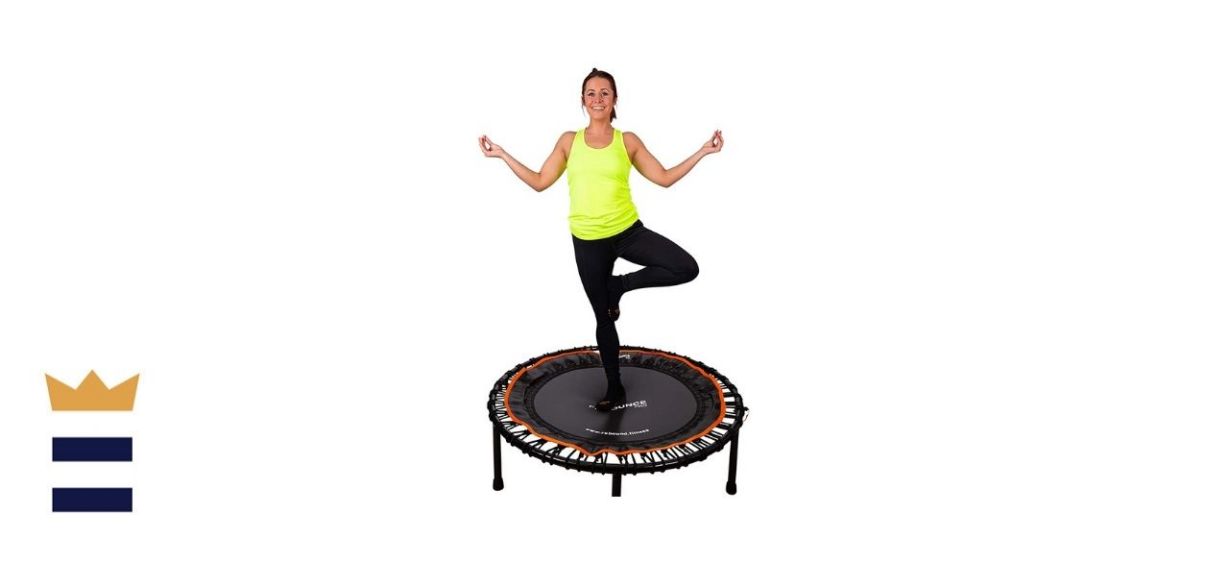 FIT BOUNCE PRO II Bungee Rebounder