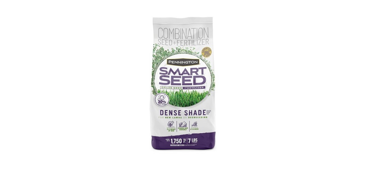 Grass seeds for dense shade