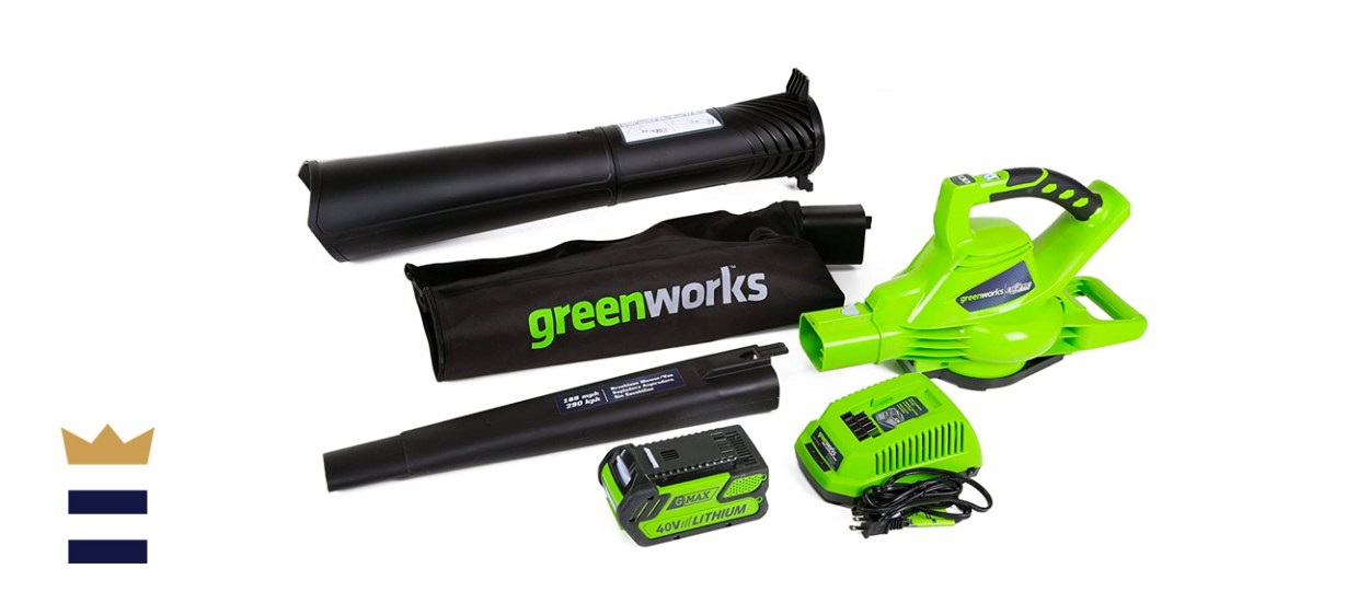 Greenworks Cordless Leaf Blower/Vacuum