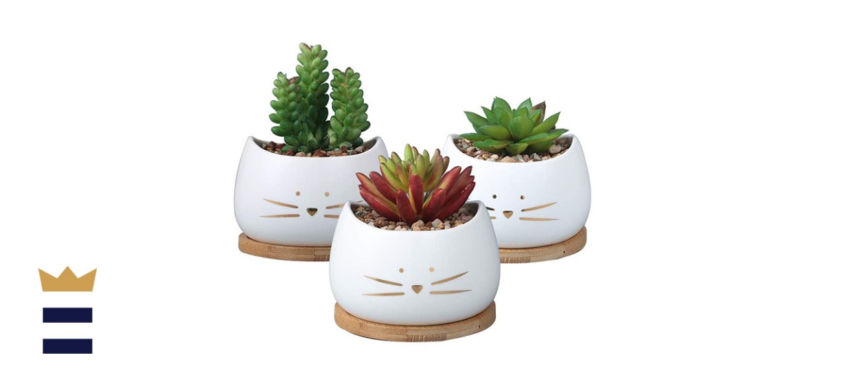 KoolKatkoo Cute Cat Ceramic Succulent Planter