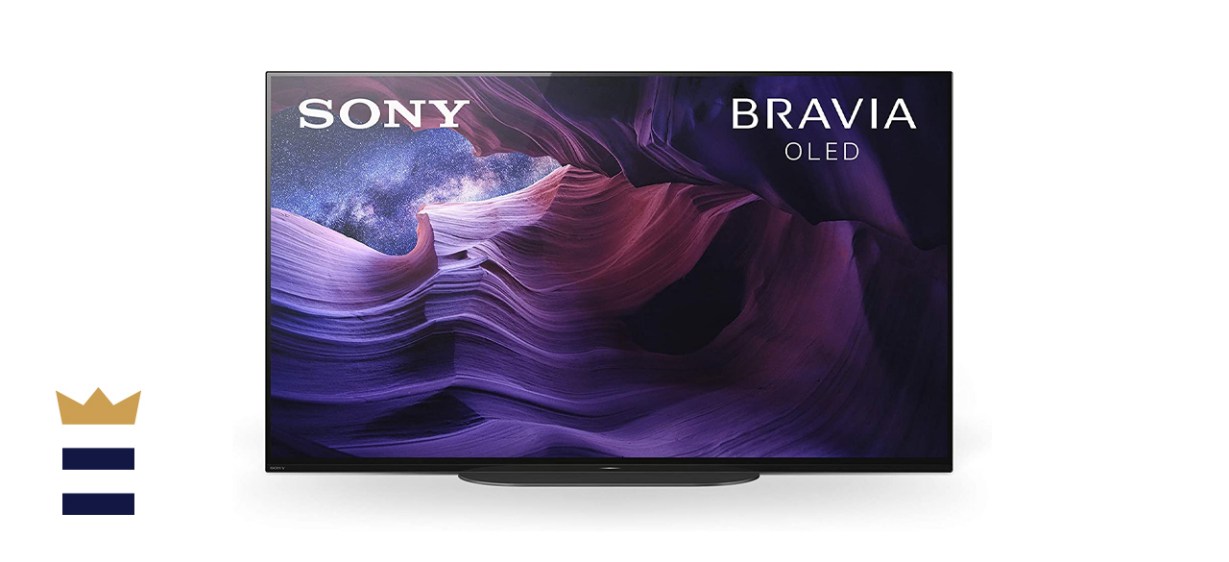 Sony XBR-48A9S 48-inch MASTER Series BRAVIA OLED 4K Smart HDR TV