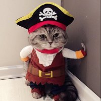 Idepet Cat Costume Suit Corsair