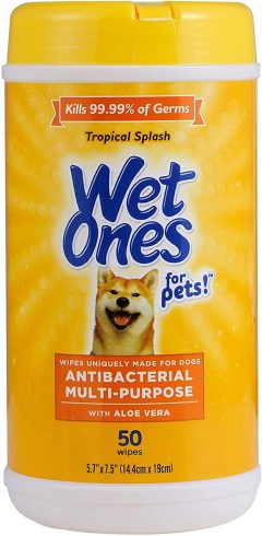 Wet Ones Antibacterial Multi-Purpose Wipes